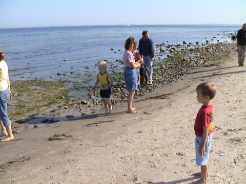 Strand