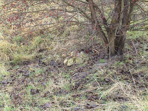 Cache