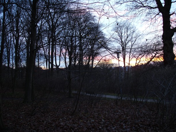 Sonsondergang