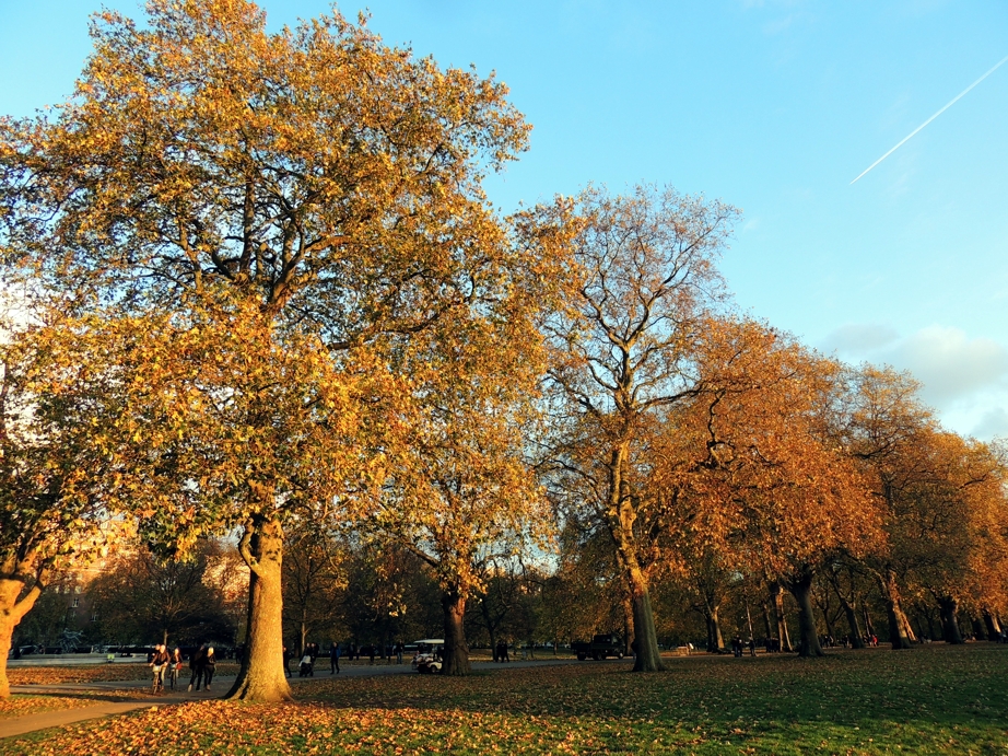 Park
