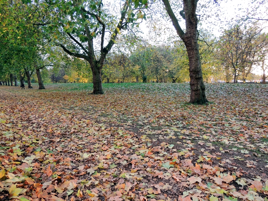 Park